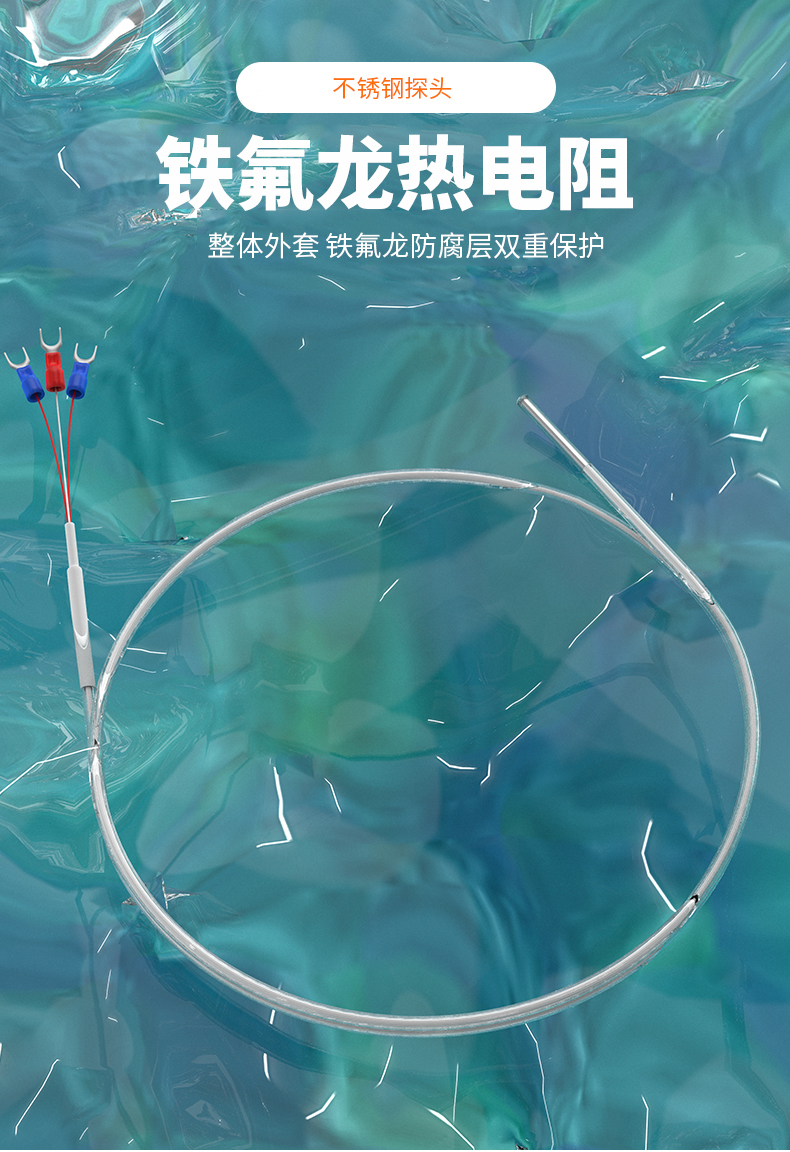 鐵氟龍熱電阻12_http://m.023mdkt.com_溫度儀表_第4張