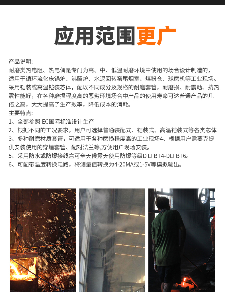 WRNM-131耐磨熱電偶15_http://m.023mdkt.com_溫度儀表_第6張