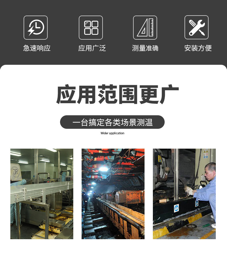 PT100溫度傳感器20_http://m.023mdkt.com_溫度儀表_第6張